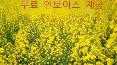 착한 가격에 건강까지 챙기는 유채꽃기름 추천! ✨